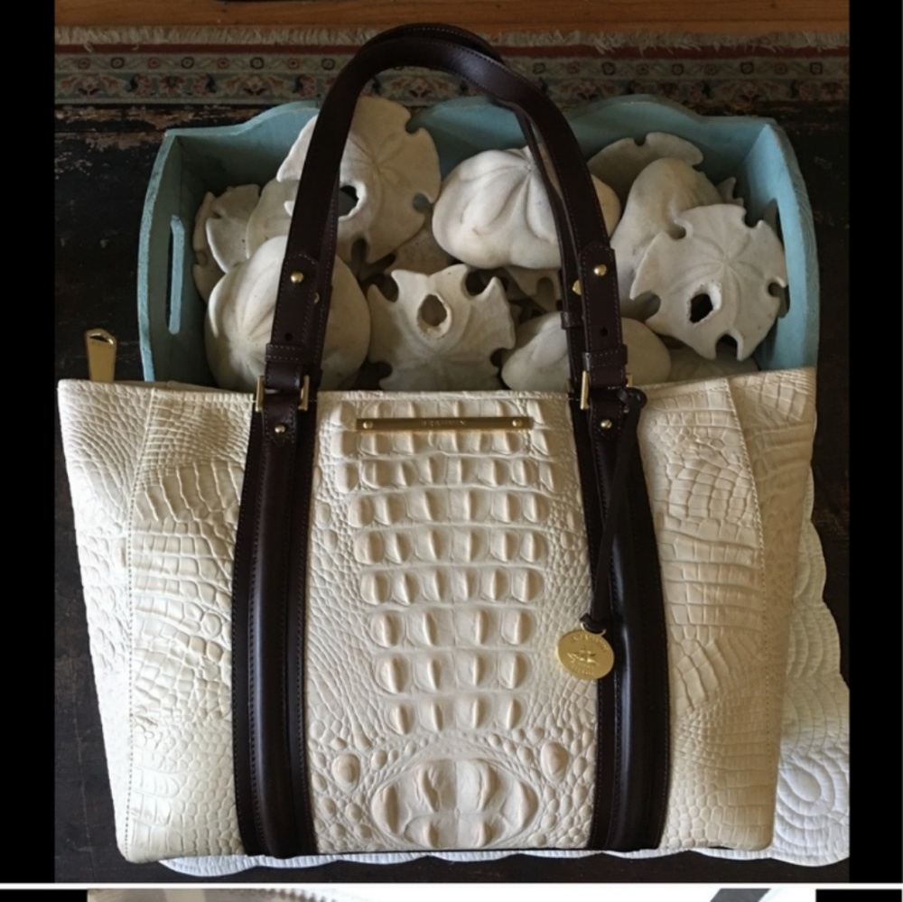 ISO Brahmin arno in coquette vermeer